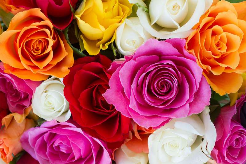 MOTHER'S DAY 2021 PICKS - SAUGERTIES & ONLINE
