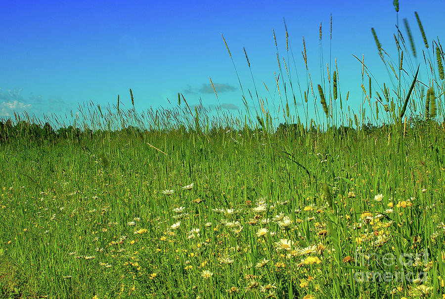 SOCIAL DISTANCING ACTIVITIES