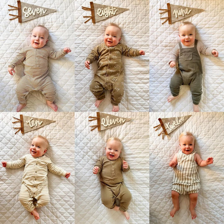 Monthly Milestone Pennant // beige with chestnut, cursive numbers