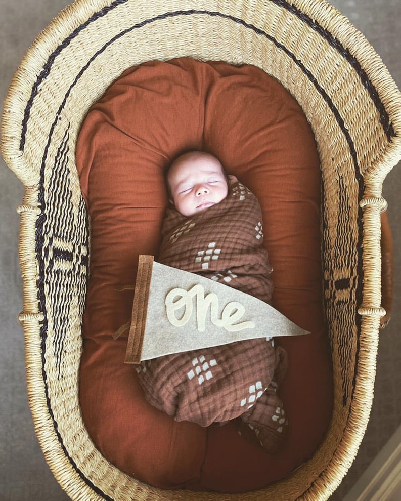 Monthly Milestone Pennant // beige with chestnut, cursive numbers