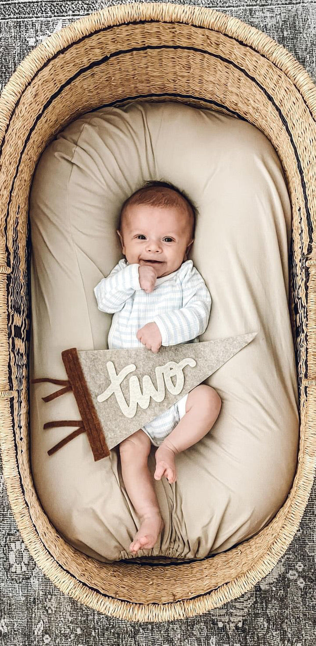 Monthly Milestone Pennant // beige with chestnut, cursive numbers