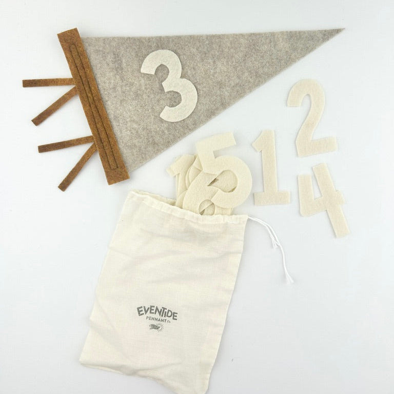 Monthly Milestone Pennant // beige with chestnut, block numbers