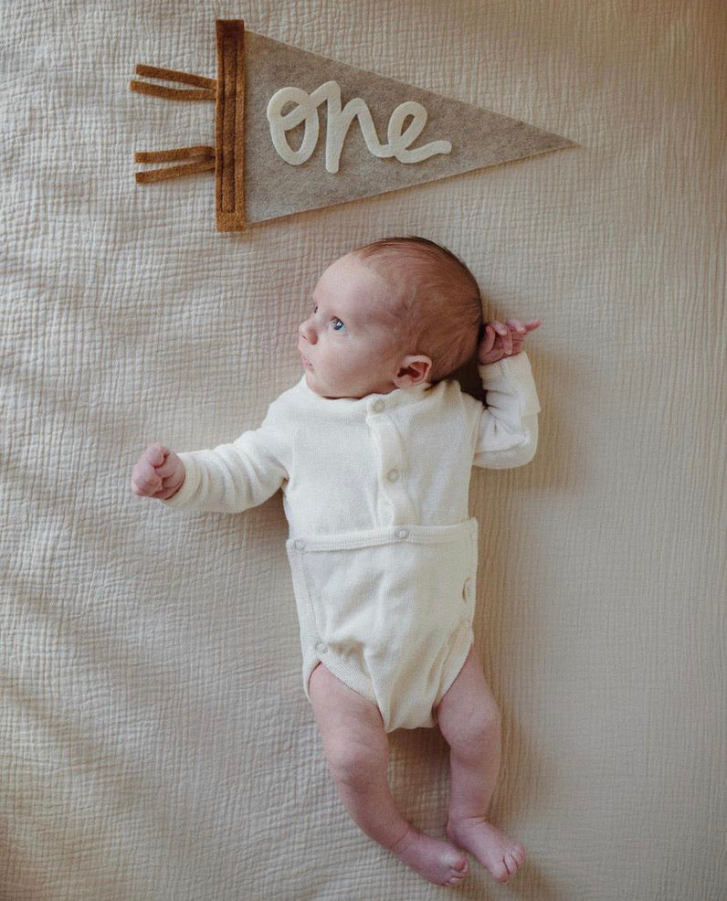 Monthly Milestone Pennant // beige with chestnut, cursive numbers