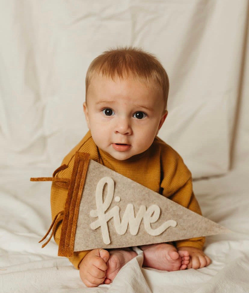 Monthly Milestone Pennant // beige with chestnut, cursive numbers