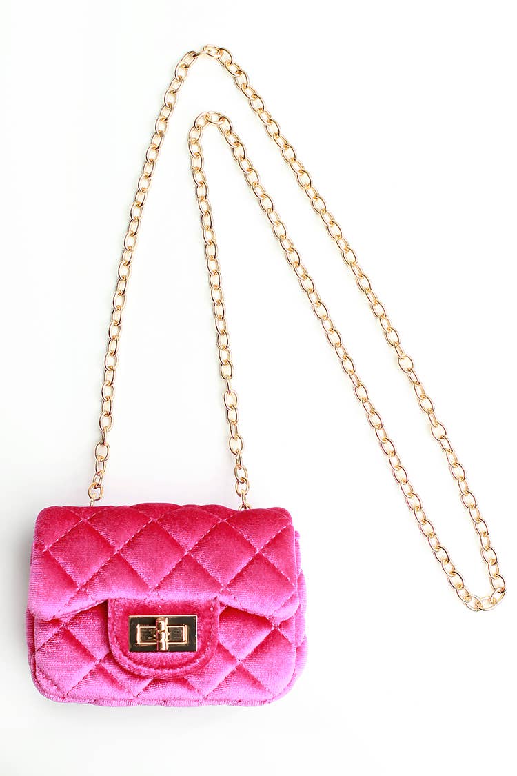 Velvet Purse
