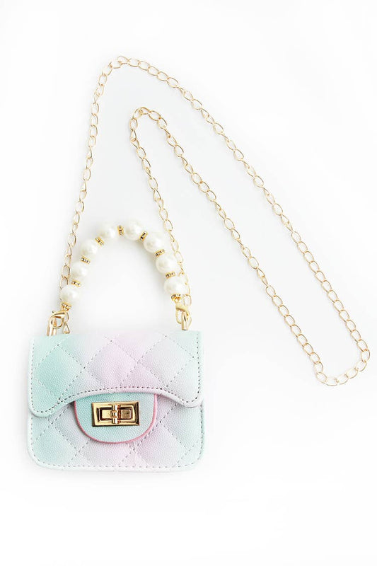 Ombre Pretty Purse
