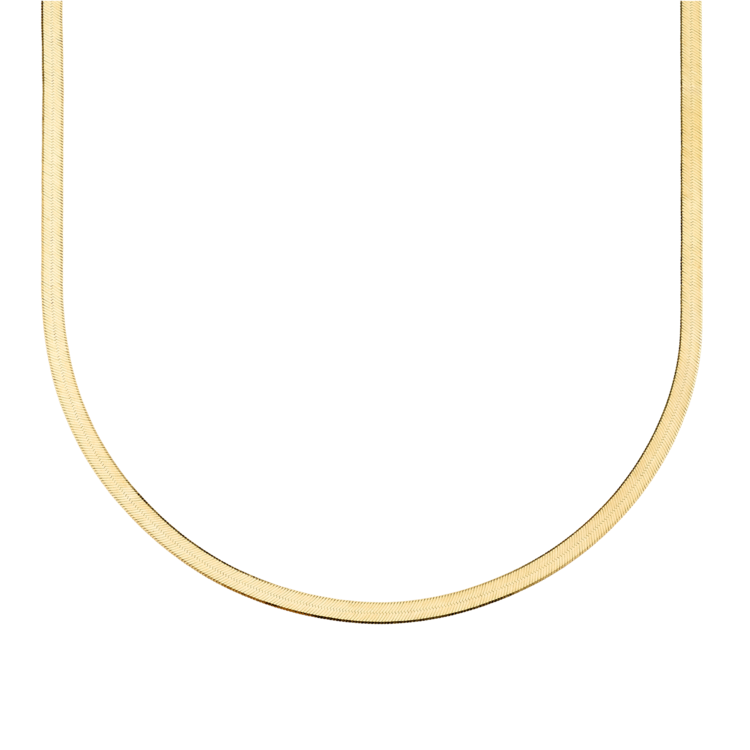 PYTHON 4MM * TRUNK SHOW